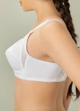 Pack of 3 DORIA Cotton Bras