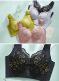 3 Sexy Lace Large Size Female Bras